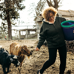 Susan Steadman feed two goats.