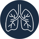 lung icon