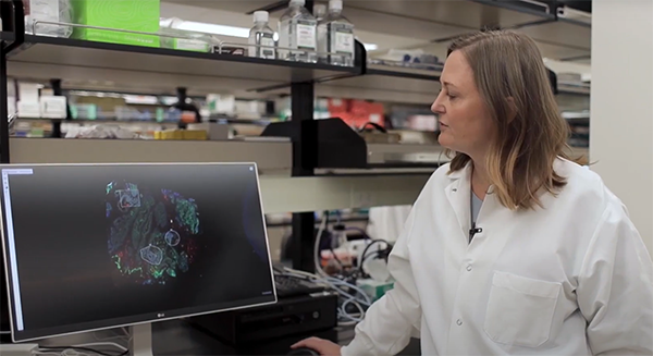Cancer Researcher looks at images on computer screen