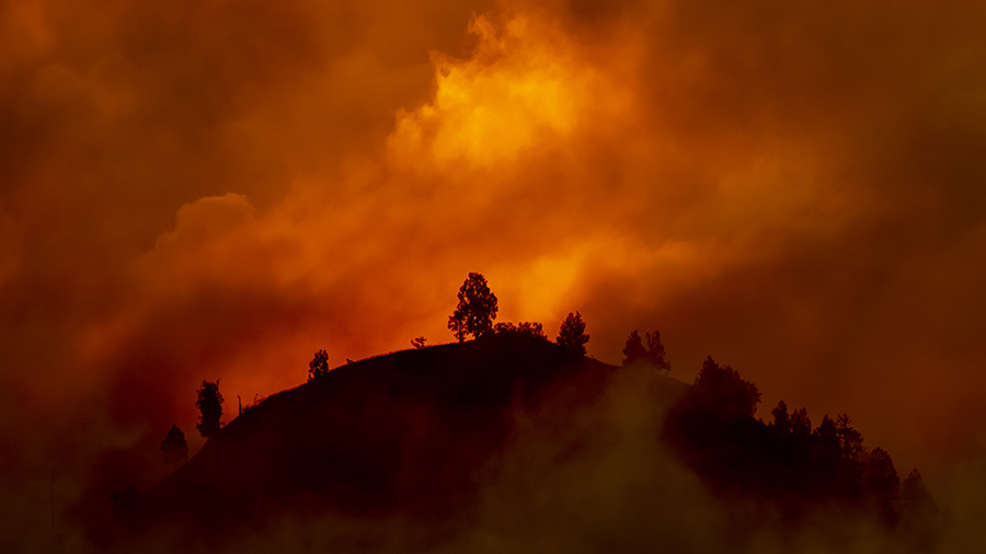 Red sky of a forest fire