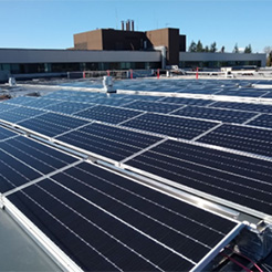 Rooftop Solar Panels
