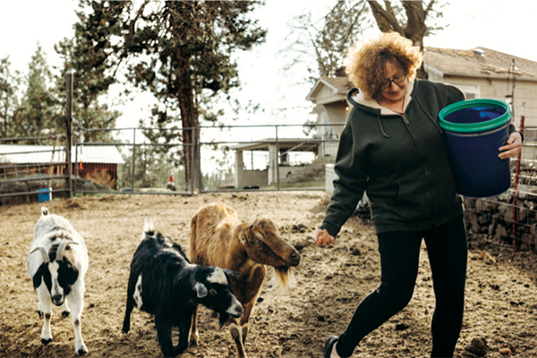 Susan Steadman feeds three goats in farm pen.