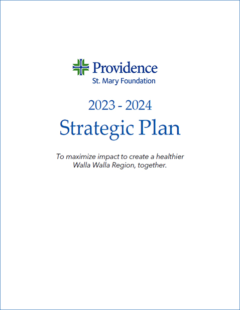 Strategic Plan 2023-2024