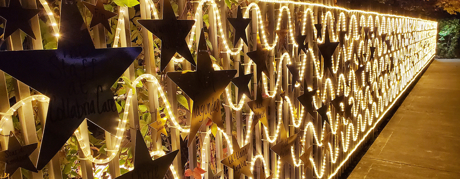 Light Up a Life Fence Christmas lights and stars along a fence.